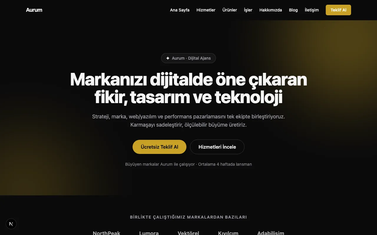 Aurum Agency teması
